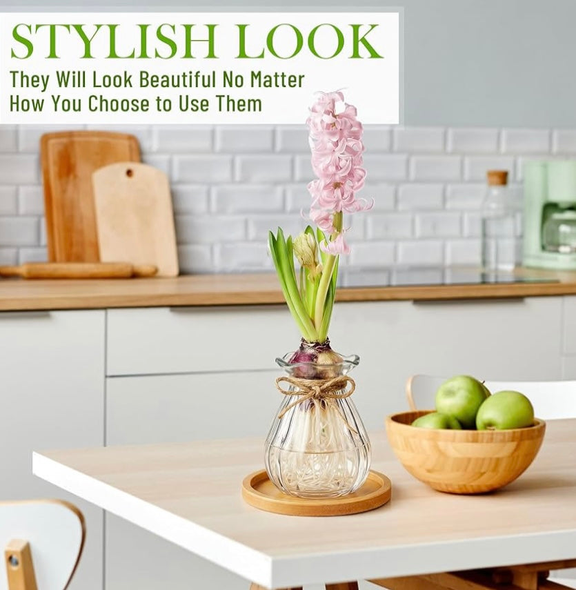 Clear Bulb Glass Vases with Bamboo Coaster