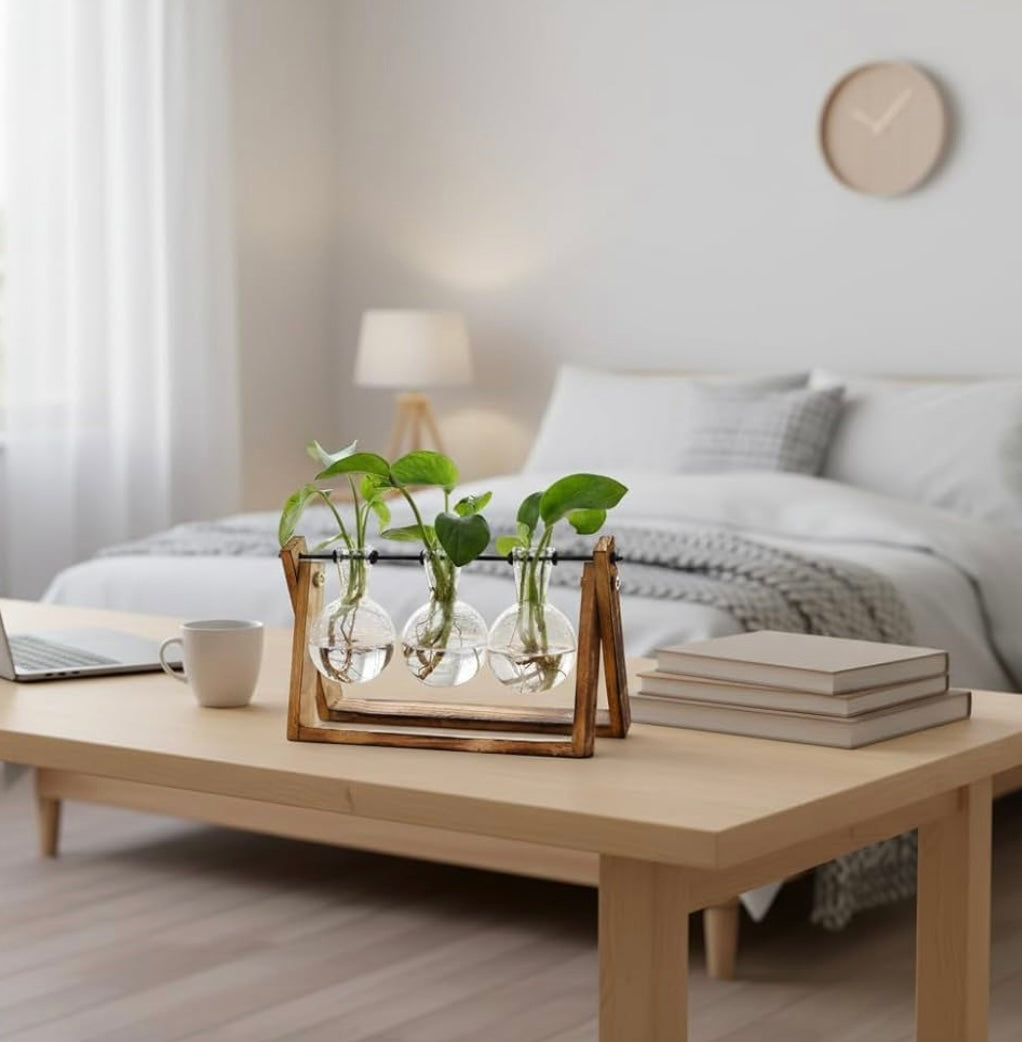 Plant Terrarium with Wooden Stand