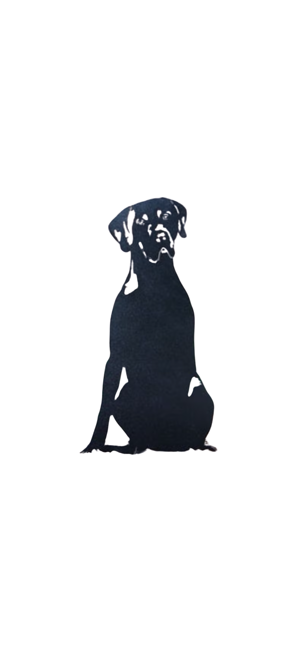 Lab Black Garden Stake