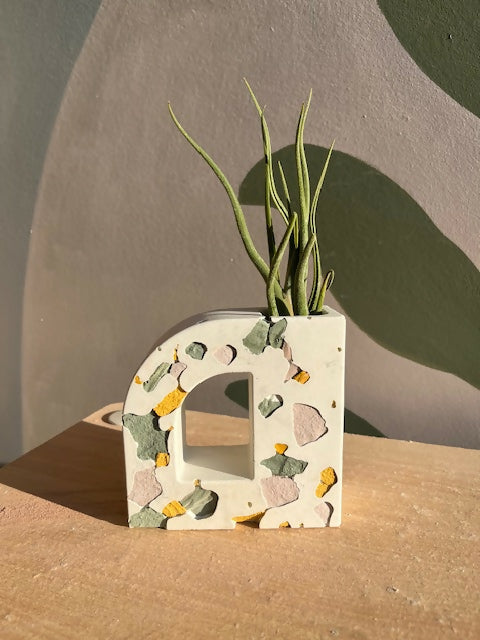 air plant no waste vase
