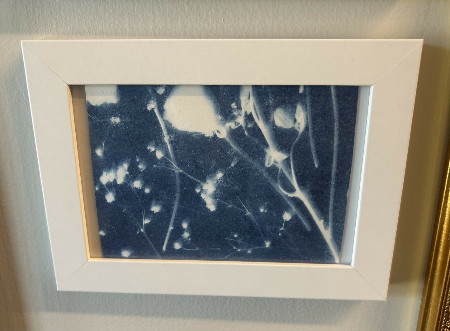 5 X 7 Wildflower Print