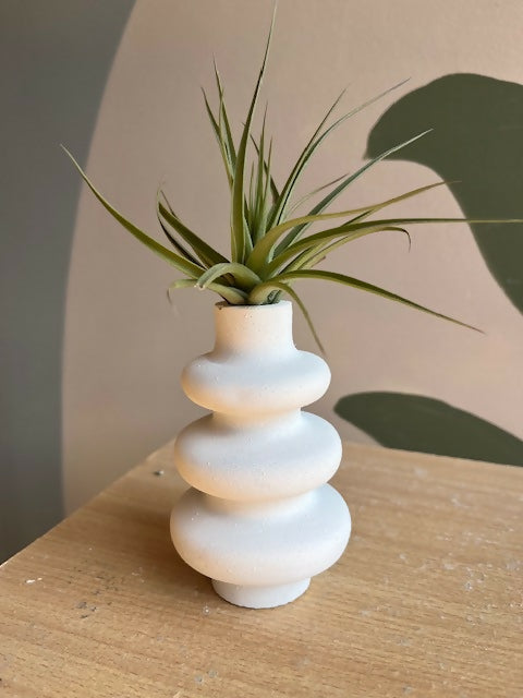 bubble vase