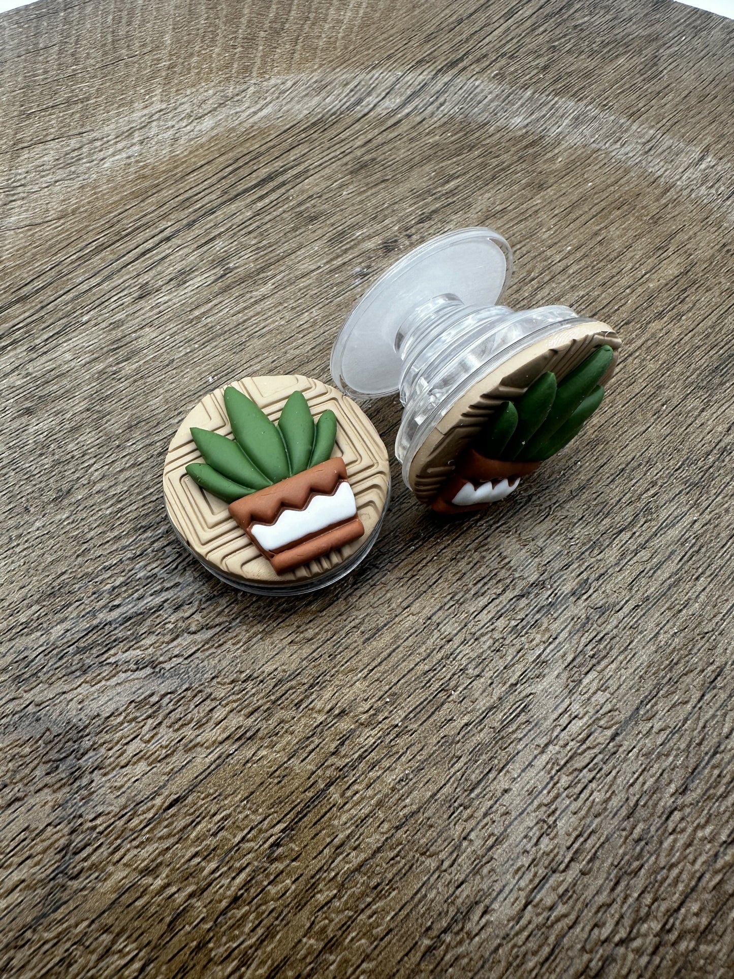 Potted Aloe Phone Grip