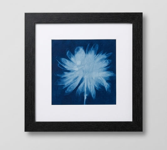 Cyanotype Print with Black Frame