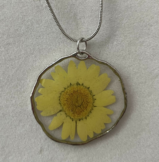 Yellow Daisy Pressed Flower Pendant 1 1/4” on 18” Necklace