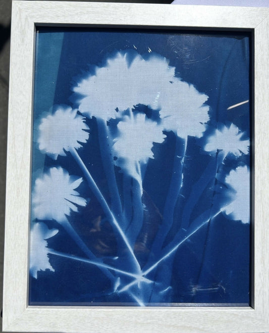8 x 10 Whispering Pom Poms