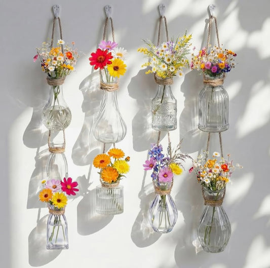 Glass Window Propagation Vases with Jute Rope
