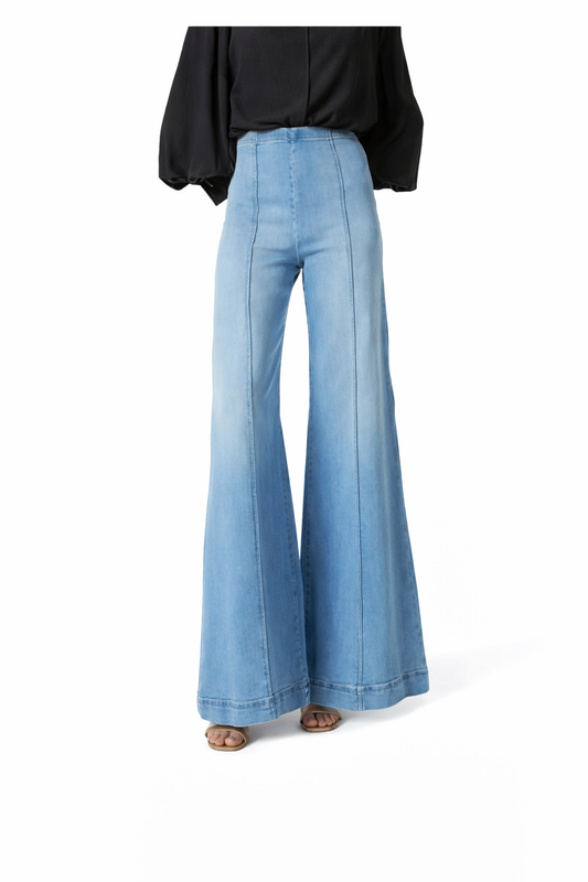 Women’s Dee High Rise Pull On Pin Tuck Pant