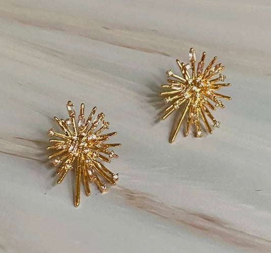 Shines Spreads Stud Earrings