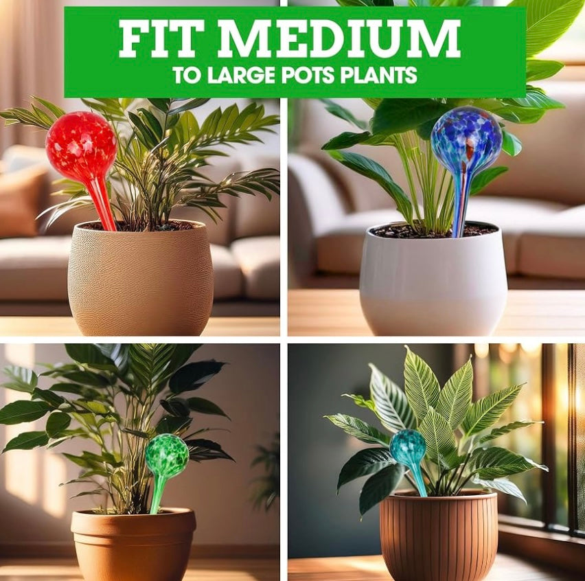 Self-Watering Globes