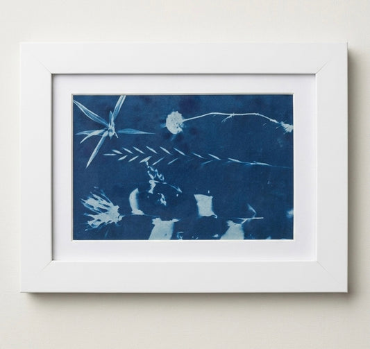 Cyanotype Print with White Frame