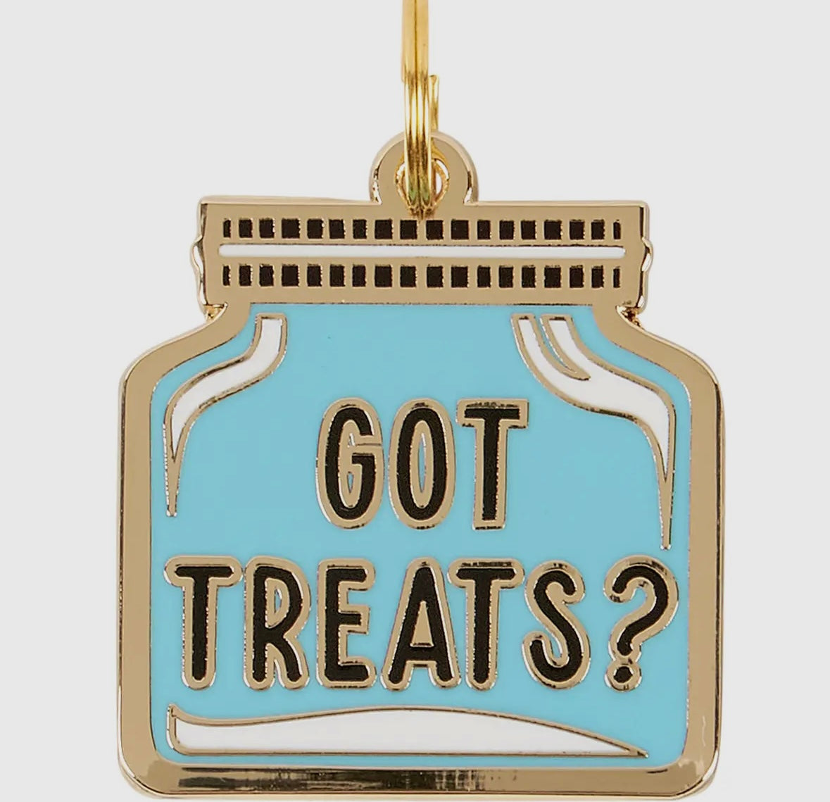 Got Treats Collar Charm