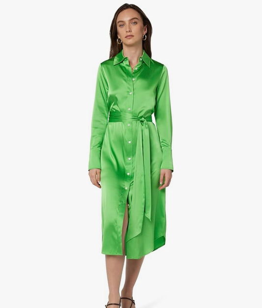 Ramy Brook Women's Victoria Dress, Tropic Green