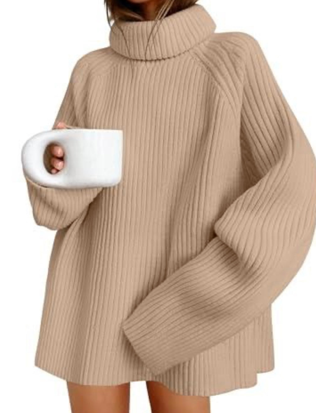 Oversized Turtleneck Sweater
