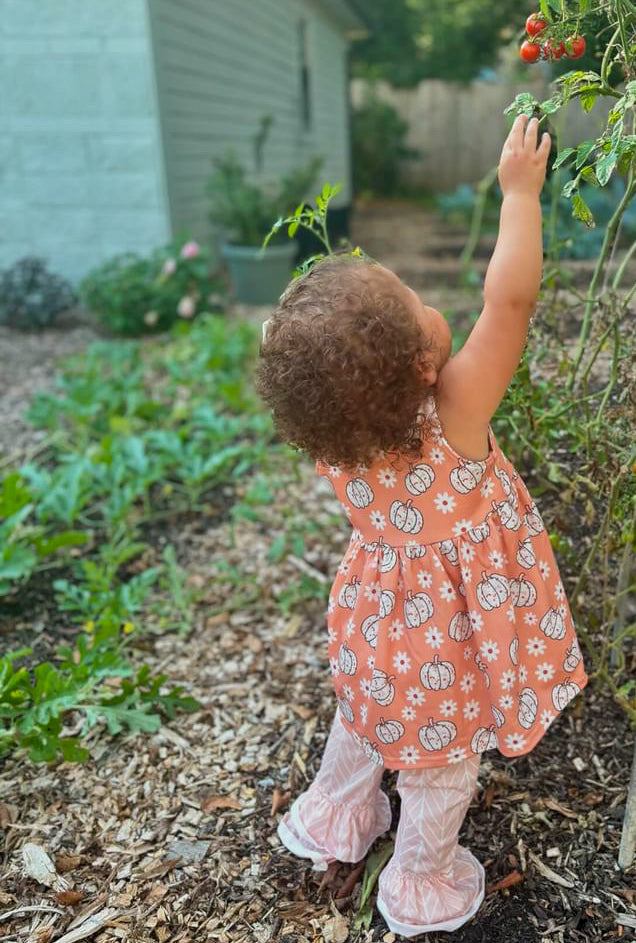 Pumpkin Patch Pant Set