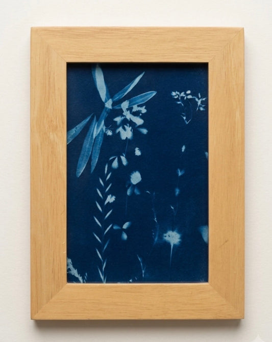 Cyanotype Print with Oak Frame