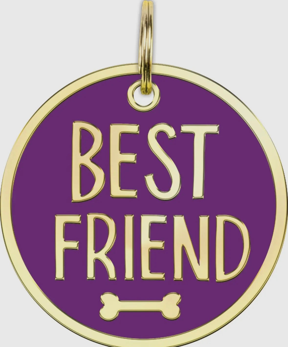 Best Friend Collar Charm