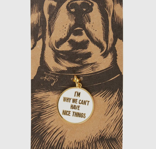 Nice Things Collar Charm