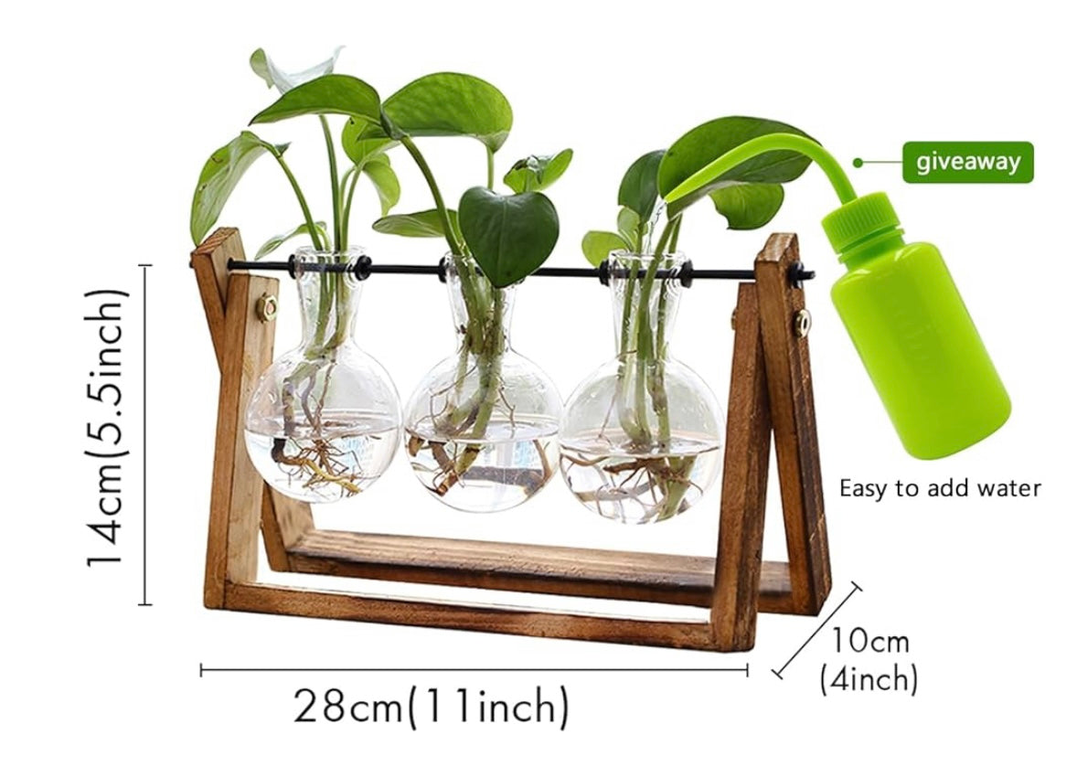 Plant Terrarium with Wooden Stand