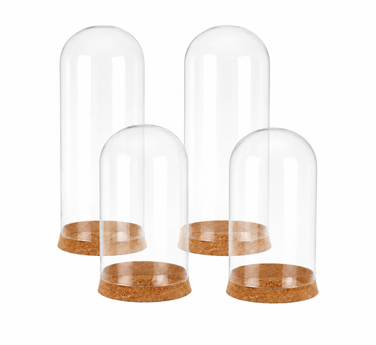 Cloche Glass Dome