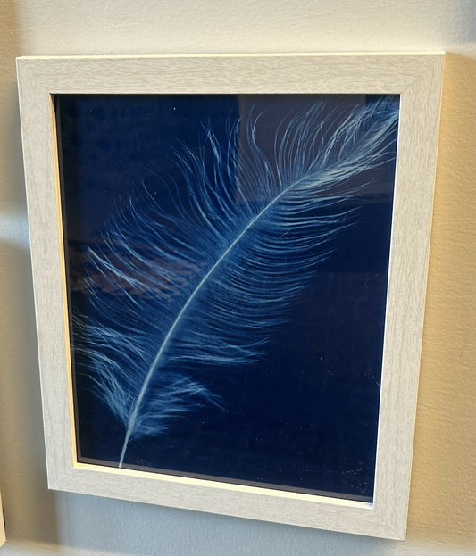 8 x 10 Hope Floats Single Feather