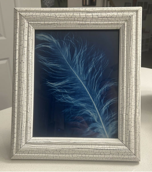 8 x 10 Heather Feather Print