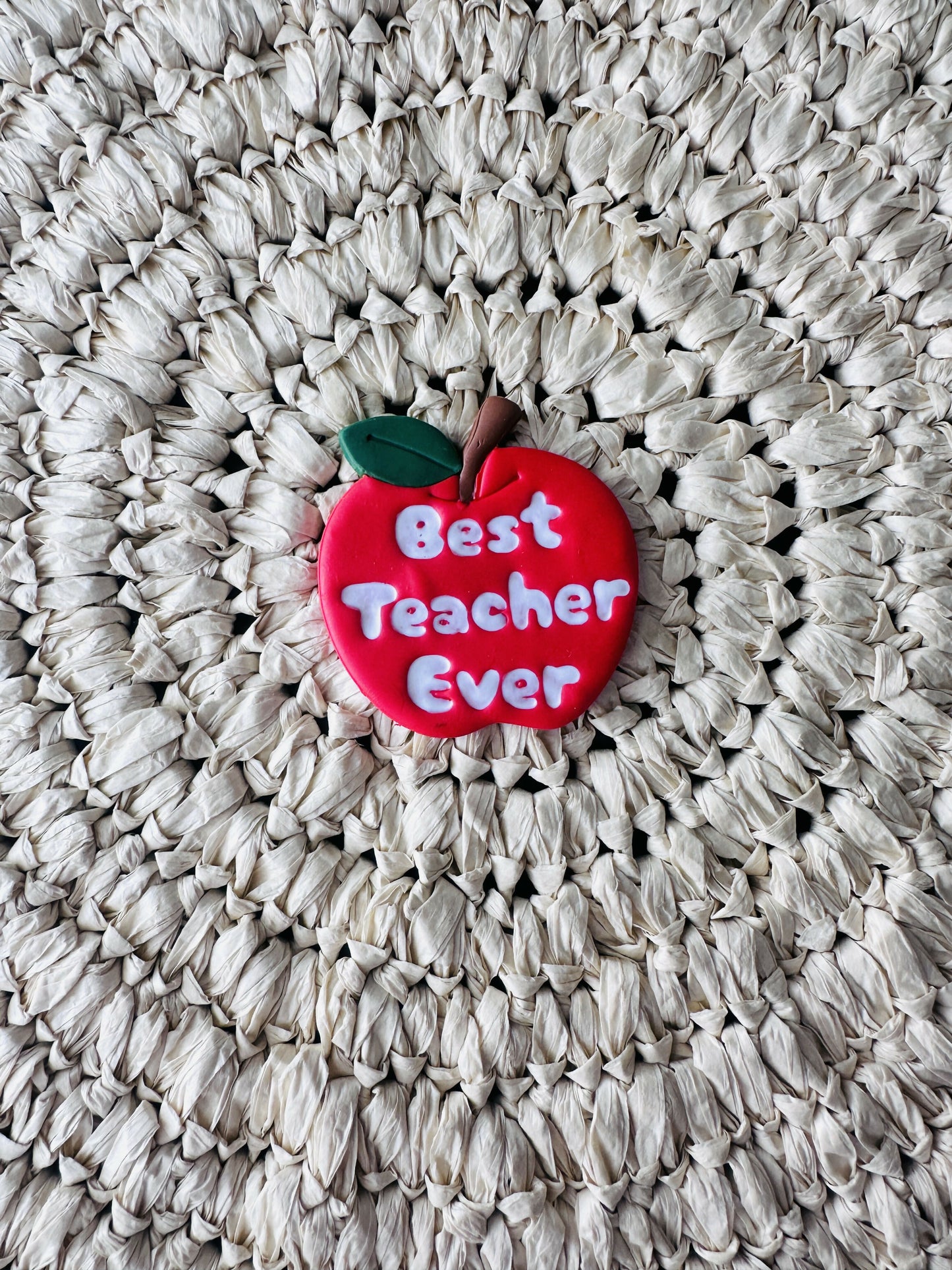 Best Teacher Ever Magnet