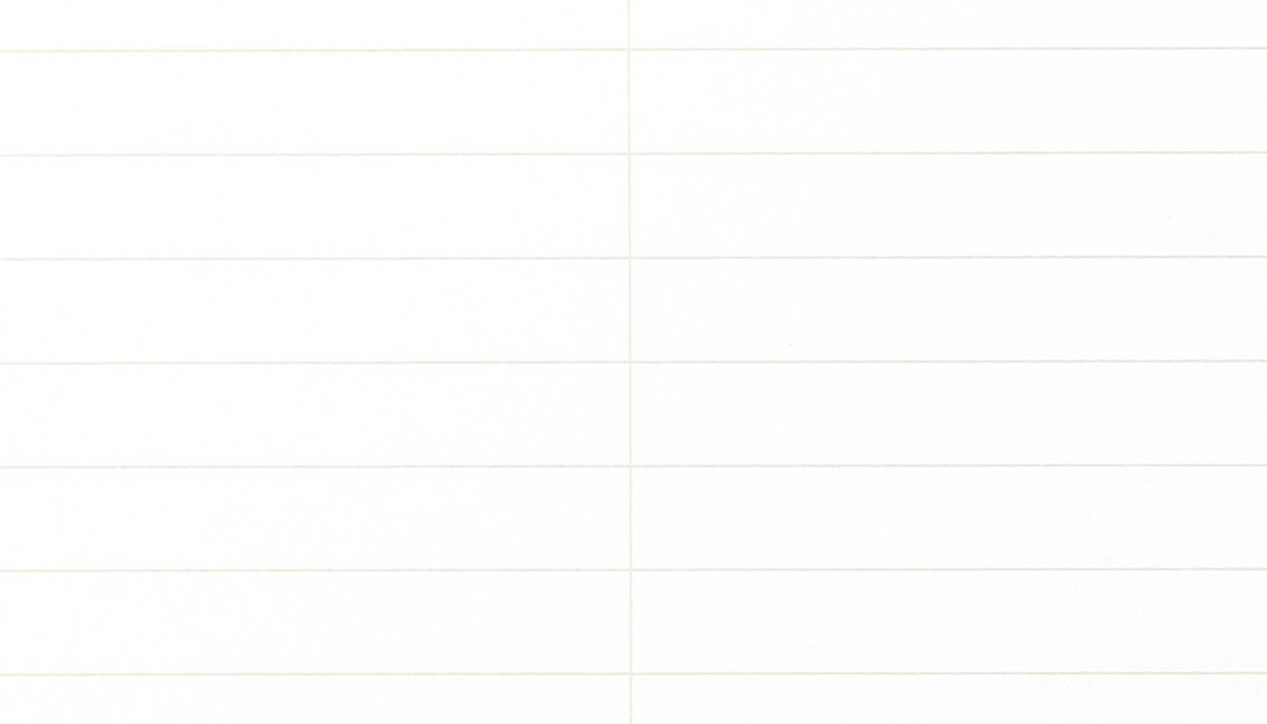 Field Notes Steno Pad