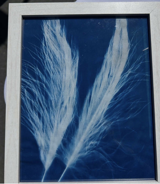 8 x 10 Feathers in the Wind
