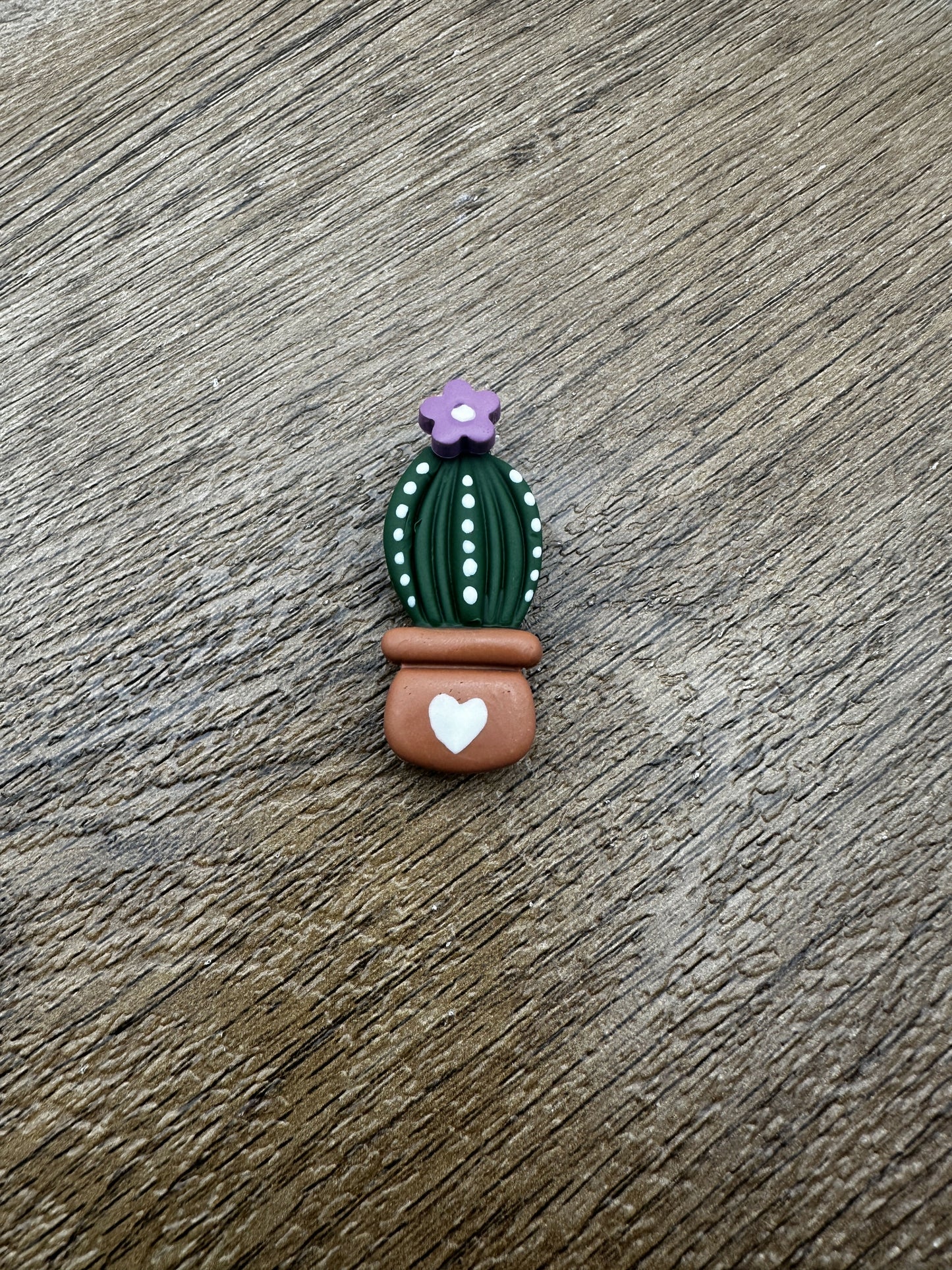 Potted Flower Cactus Magnet
