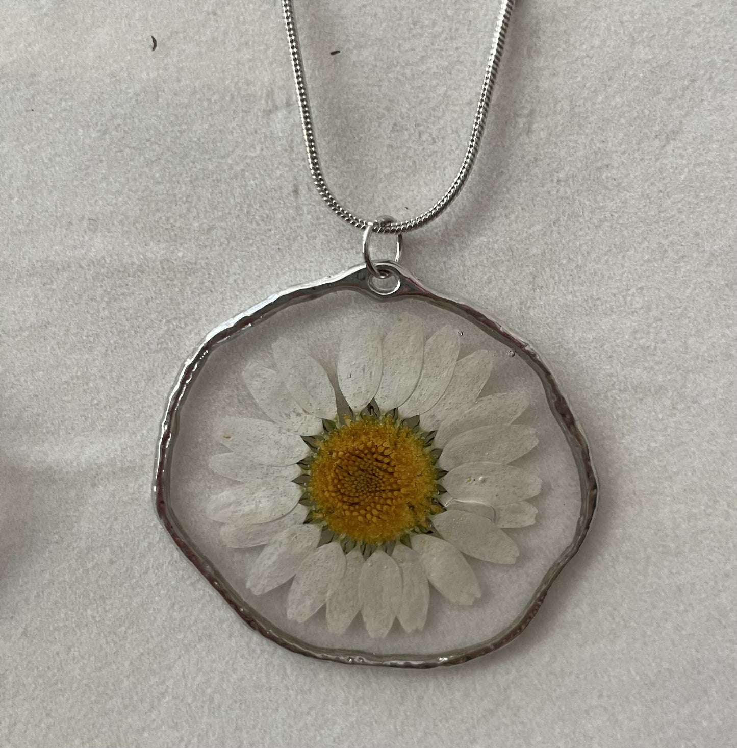 White Daisy Pressed Flower 1 3/4” Pendant on Silver 18” Necklace