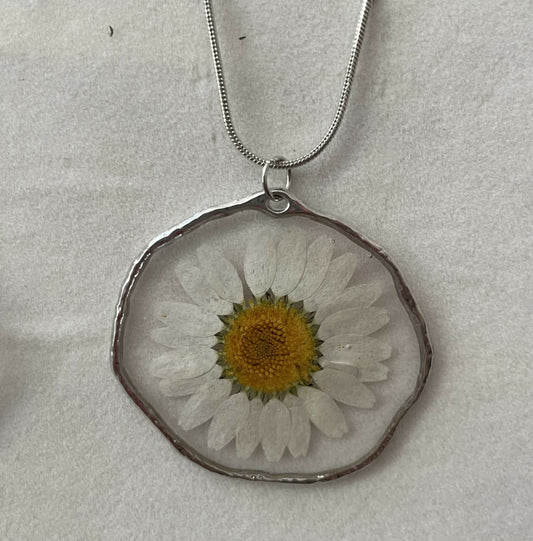 White Daisy Pressed Flower 1 3/4” Pendant on Silver 18” Necklace