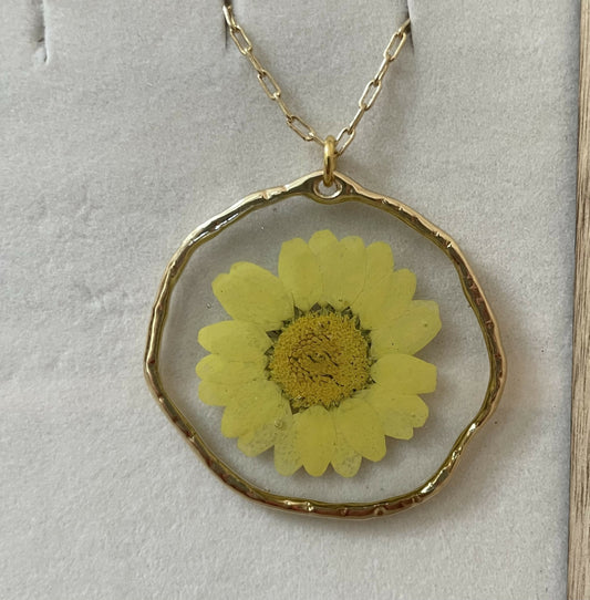 Yellow Daisy Pressed Flower 1 1/2” Gold Pendant on 30” Gold Chain