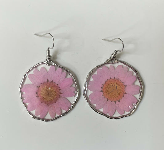 Pink Daisy Pressed Flower Silver Earrings