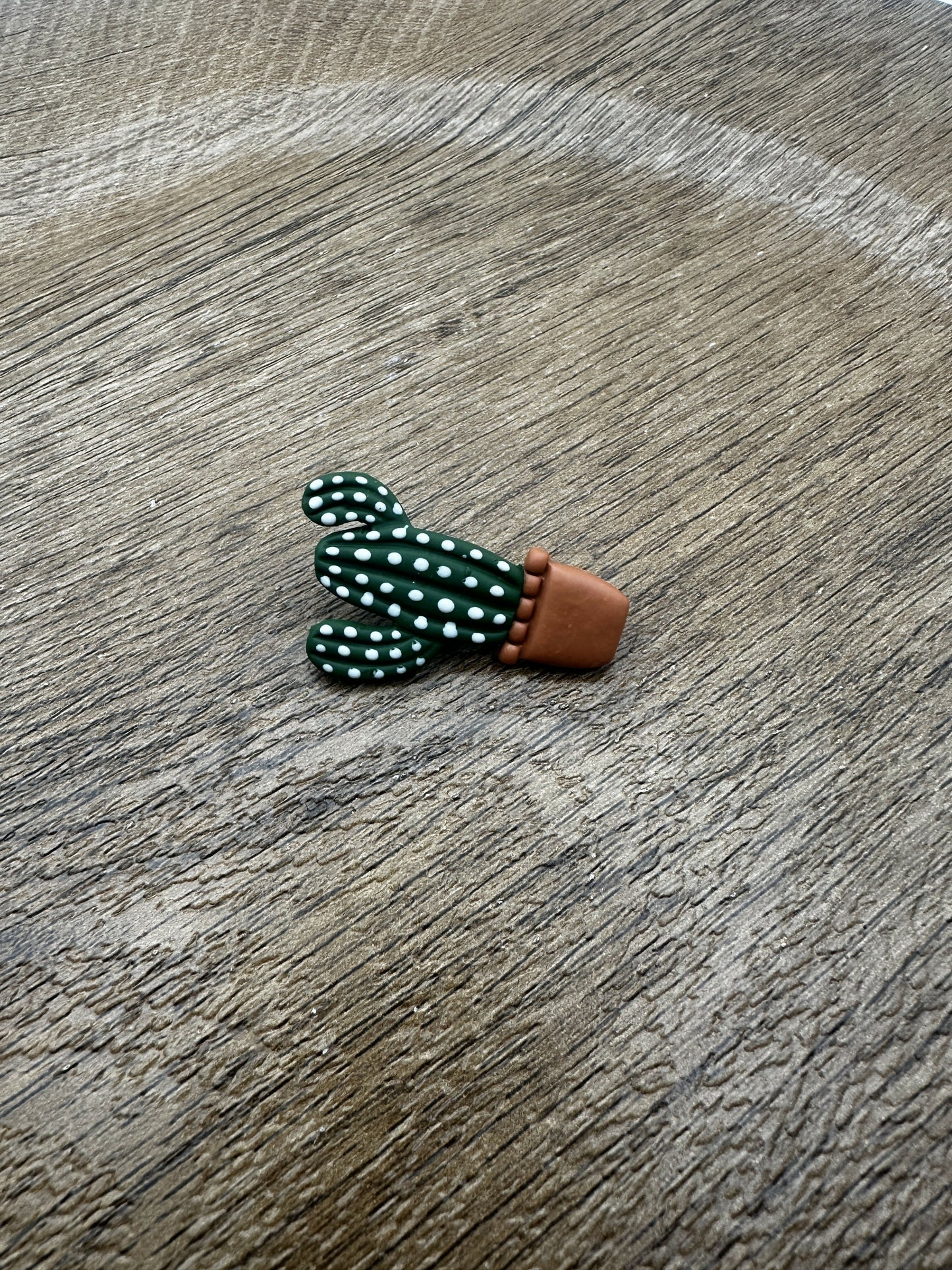 Potted Cactus Pin
