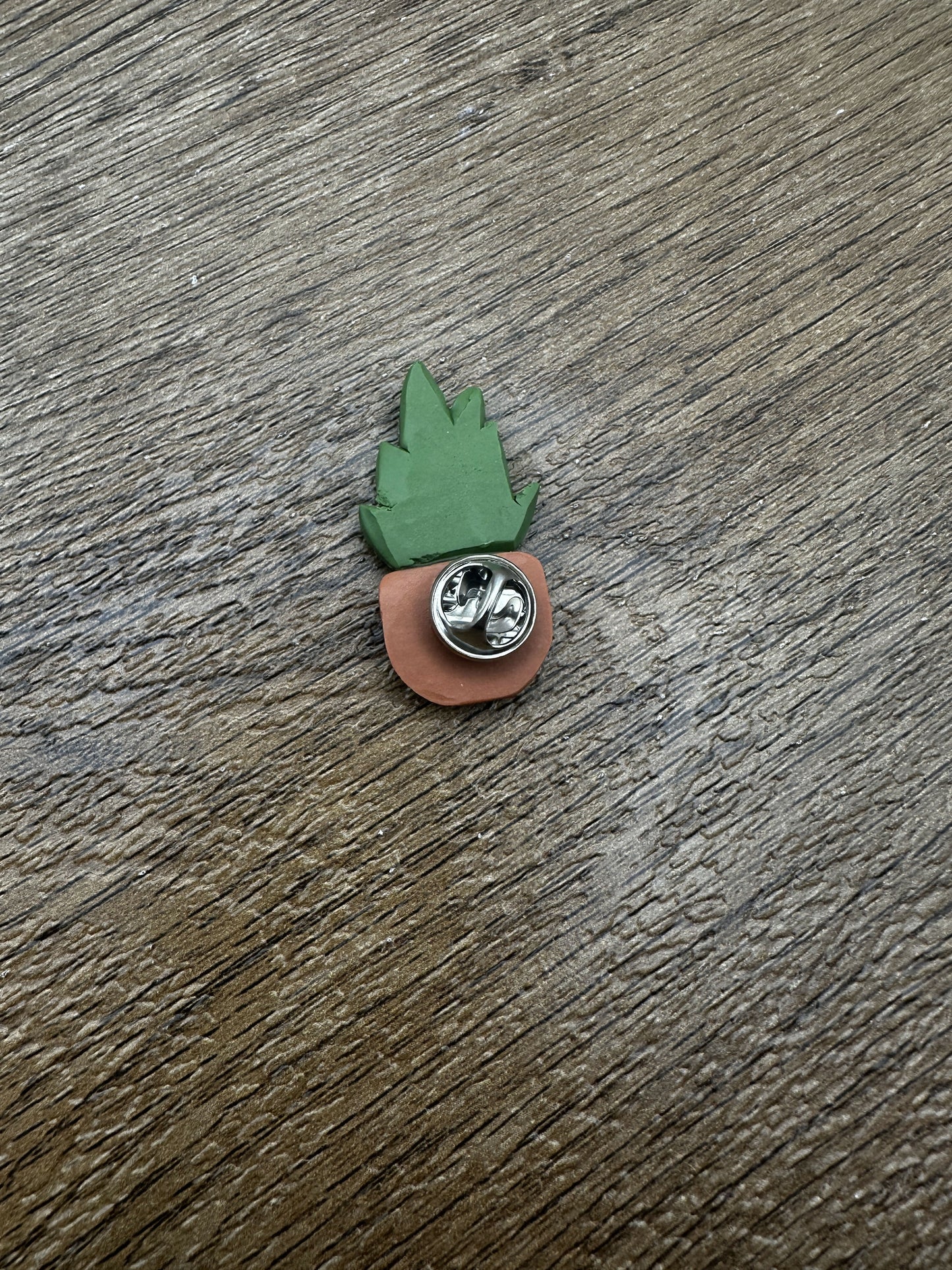 Potted Succulent Pin