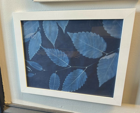 8 x 10 Leaves of Time Print