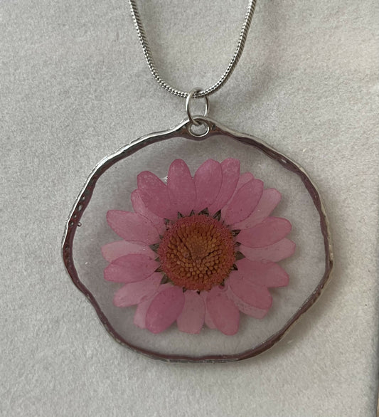 Pink Daisy Pressed Flower 1 1/2” Pendant on 18” Silver Chain