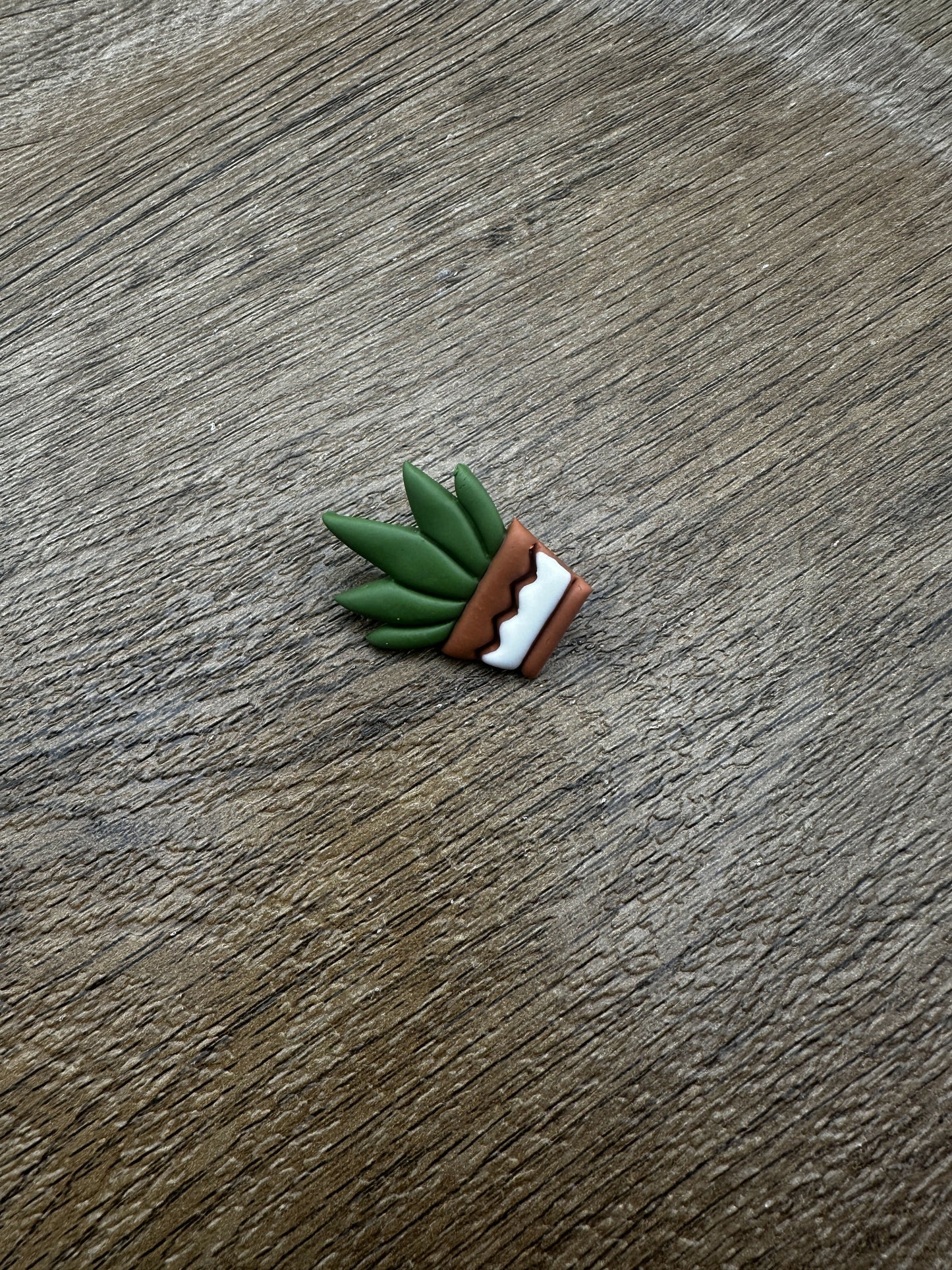 Potted Aloe Pin