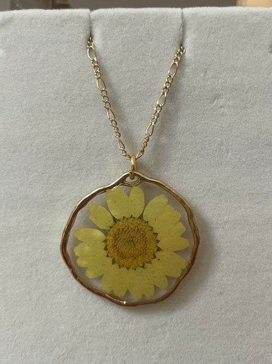 Yellow Daisy Pressed Flower 1 1/4” Gold Pendant on 16” Necklace