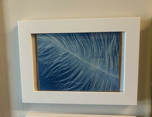 5 X 7 Feather Print